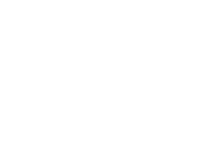 Evolution games at Rollino Casino